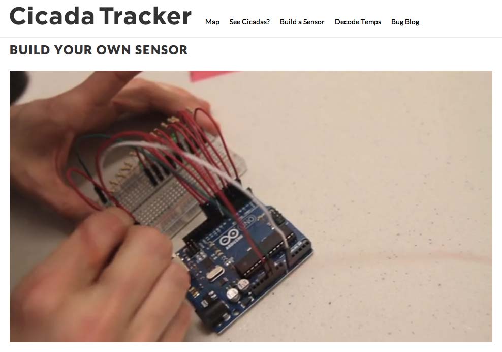 Cicada trackers